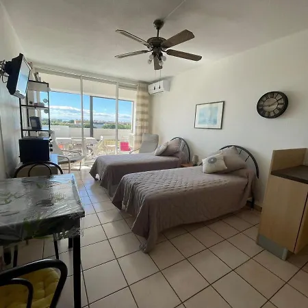 T2 Avec Balcon, Clim Et Animaux Admis A - Fr-1-503-85 *