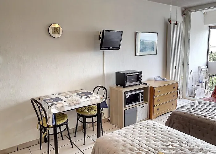 Chaleureux Avec Balcon, Animaux Admis, Pour Cure Ou - Fr-1-503-85 Apartamento